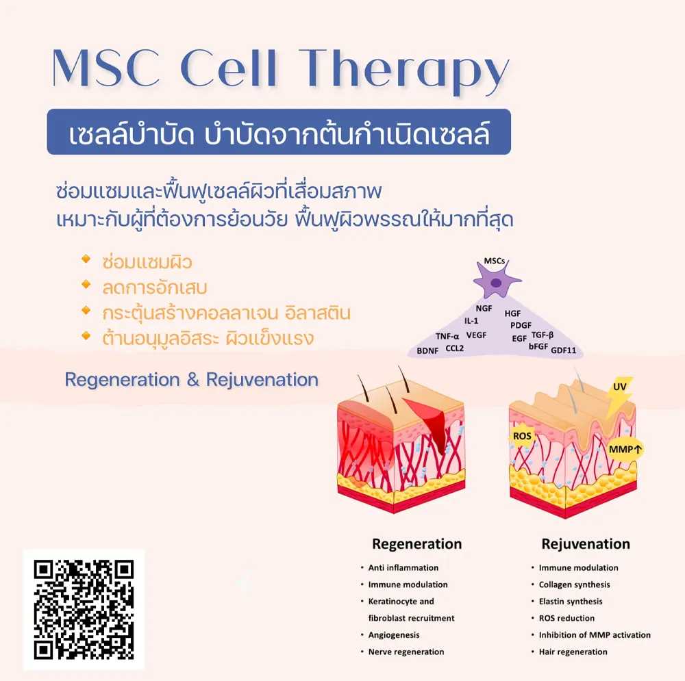 IV Drip + Therapy แม่สอด