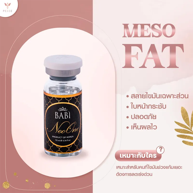 Meso fat แม่สอด